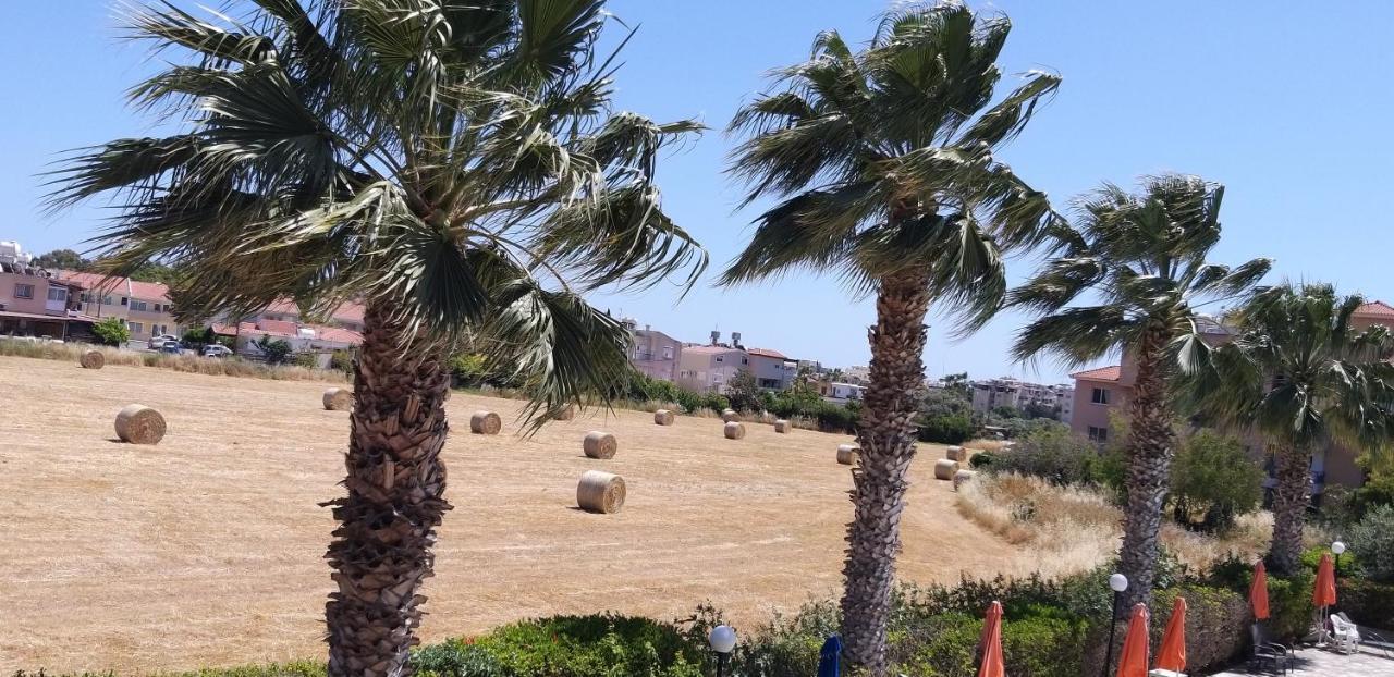 My Sweet Pansiyon Pafos